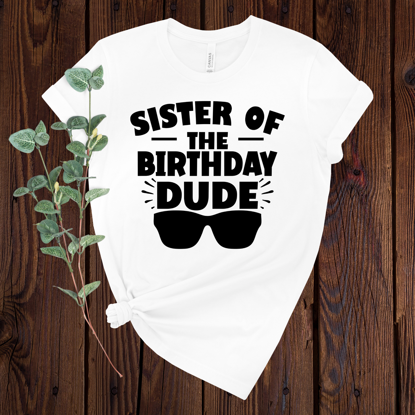 Sister of the Birthday Dude T-Shirt